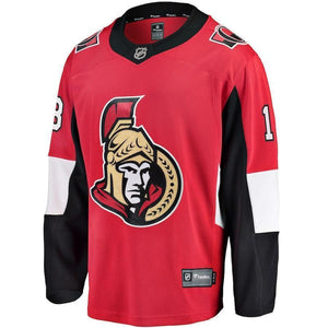 Ryan Dzingel Ottawa Senators Player Swingman Jersey
