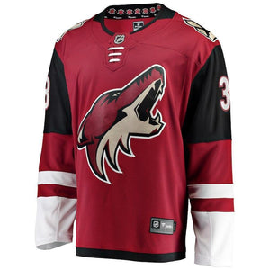 Alex Goligoski Arizona Coyotes Player Swingman Jersey